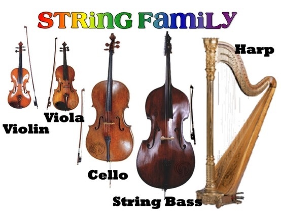 String Family Mr Wadsworth S Music Classroom .strings, bass strings, banjo strings, cello strings, double bass strings, fiddle strings, mandolin strings, ukulele strings, viola strings as well as strings for a wide variety of folk instruments. mr wadsworth s music classroom